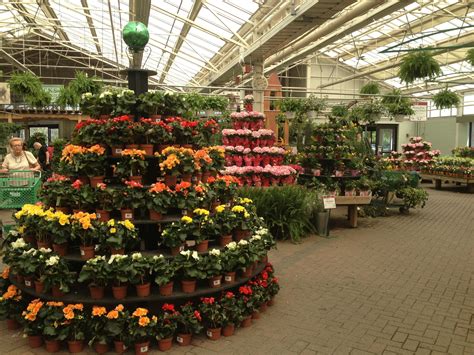 Hicks garden nursery - Usually the Flower and Garden show is two weeks long. This is the longest running in its 34-year history. The show takes place inside Hicks Nurseries in Westbury.